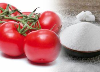 Produits de grande consommation au Bénin : La tomate de plus en plus chère