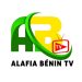 Promotion des langues nationales via les médias : Le gouvernement lance Bénin Tv Alafia