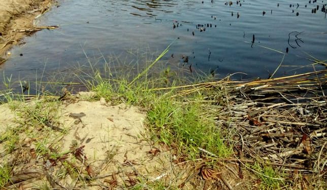 Bénin/Zagnanado: autour des petits lacs, la dégradation des terres s’observe