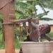 Accès à l’eau potable : 118 forages bientôt réalisés dans 7 localités béninoises