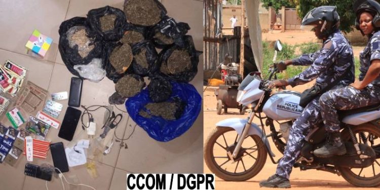 Trafic de produits psychotropes : Deux individus interpellés à Tori-Bossito