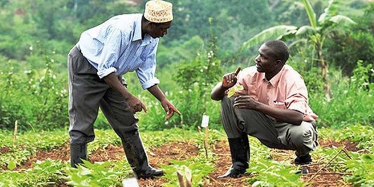 Lutte contre la dégradation des terres agricoles au Bénin : Un défi majeur pour le développement durable