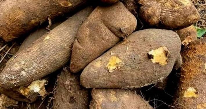 Municipalité d’Abomey-Calavi : Exploitation d’une carrière illégale