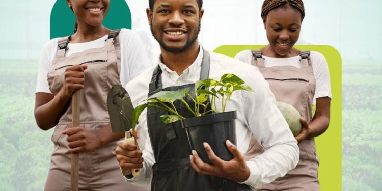 Bénin : L’Université agricole K-D.K ouvre ses portes à Parakou en septembre prochain