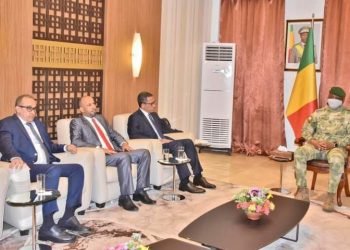 Coopération : La Mauritanie adresse un message de soutien et de solidarité au Mali après les récentes inondations