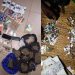 Démantèlement d’un ghetto au Bénin : 26 personnes arrêtées à Abomey-Calavi