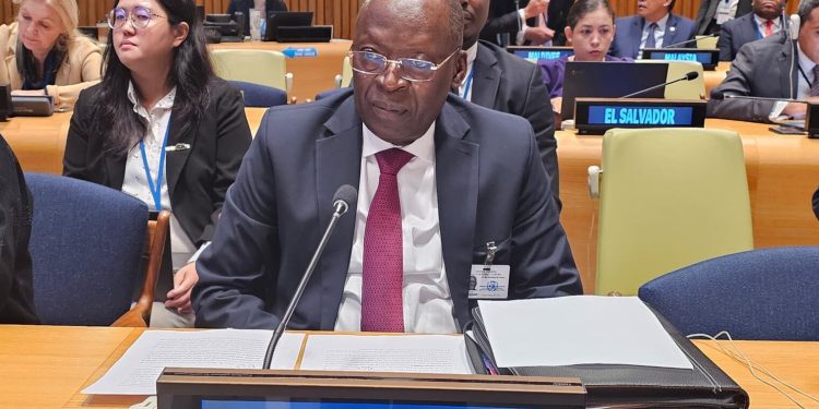 Atteinte des Odd : Bio Tchané expose les actions du Bénin à New York