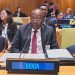 Atteinte des Odd : Bio Tchané expose les actions du Bénin à New York