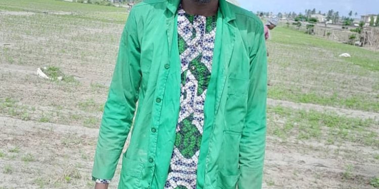 Agriculture : A la découverte du maraîcher professionnel Isaac Agbanou