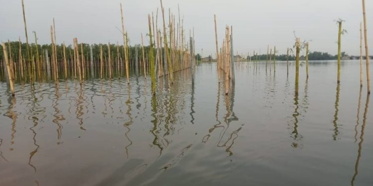 Réserves biologiques et des mangroves de palétuviers dans la zone du lac Ahémé et ses chenaux : L’Adelac protège par sacralisation deux superficies à Djondji-Houncloun