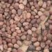Burkina Faso : L’exportation de l’amande de karité suspendue