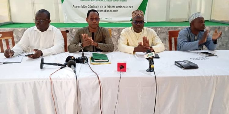 Restructuration de la filière anacarde au Bénin : Fin de la prolifération des faîtières