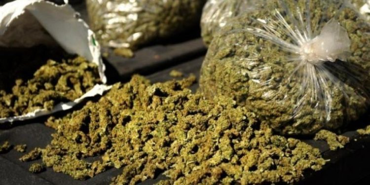 Bénin : Plus de 16 000 kg de drogues saisies en 2023