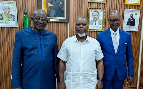 Gestion des élections locales au Bénin : Le Haut conseil de communication de la République centrafricaine à l’école de la Haac