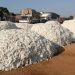 Lancement officiel de la commercialisation du coton graine 2024-2025 : Le retour de la production haussière saluée