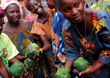 Championnat d’Afrique de karaté 2024 : Le Bénin décroche 22 médailles à Abidjan