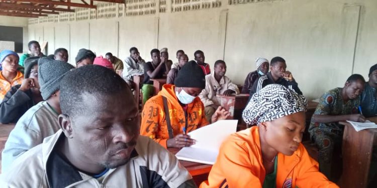 Formation inclusive sur la myciculture : Le Groupe K-D.K renforce l’employabilité des jeunes et soutient les couches vulnérables