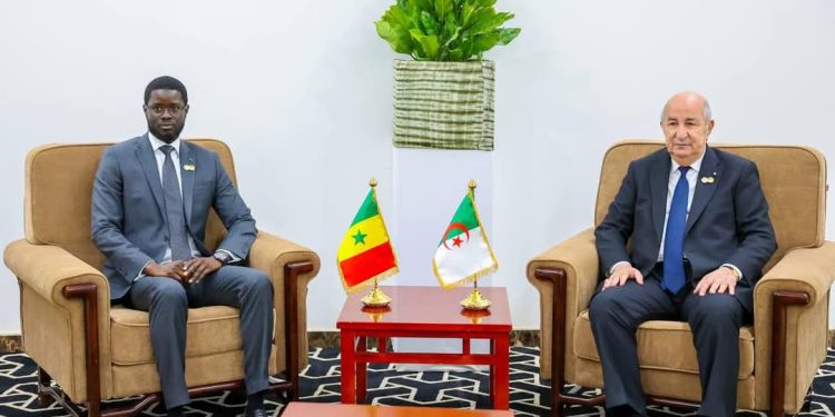 Renforcement de la coopération entre le Sénégal et l’Algérie : Tête-à-tête entre Faye et Tebboune