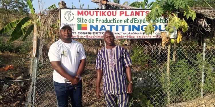 Formation en agriculture et métiers verts : Le Groupe K-D.K en alliance stratégique avec Moutikou Plants Bénin