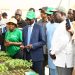 Sénégal: Une stratégie pour réaliser l’autosuffisance en tomate