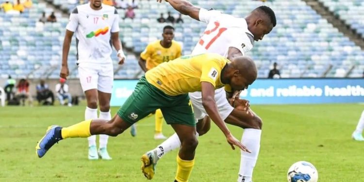 Éliminatoires mondial 2025 : Le sélectionneur Broos dévoile une liste préliminaire de l’Afrique du Sud pour les 5ème et 6ème journées