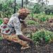 Dégradation des terres agricoles au Bénin : Atteindre la neutralité, une priorité