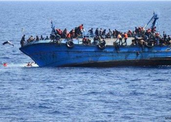 Immigration : Plus de 180 personnes portées disparues après le naufrage de 4 bateaux