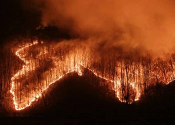 Corée du Sud : Une série d&rsquo;incendies ravagent le sud-est du pays