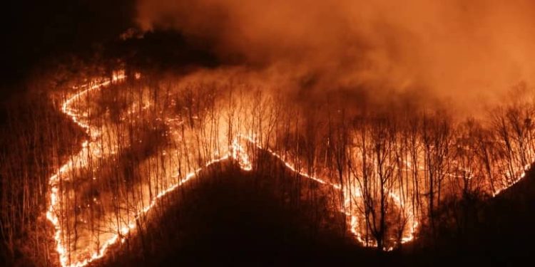 Corée du Sud : Une série d&rsquo;incendies ravagent le sud-est du pays
