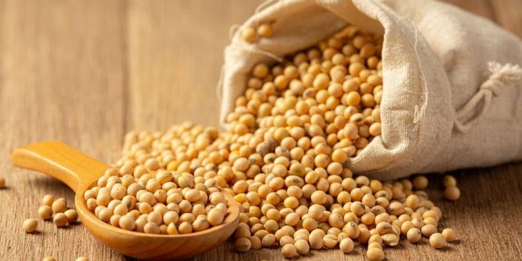 Bénin : Une opération d&rsquo;achat de tous les stocks de soja lancée