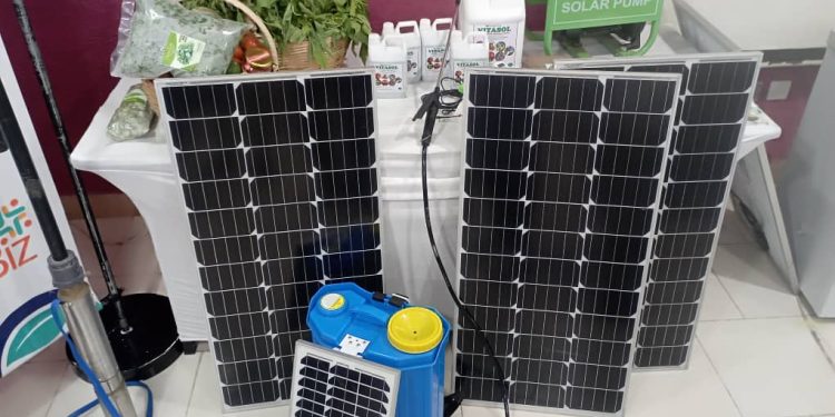 Compétition des plans de croissance de BeniBiz : TechnoServe prime les meilleurs projets verts