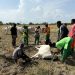 Immersion pratique à la Ferme K-D.K : Une leçon grandeur nature sur l’extraction placentaire chez les bovins