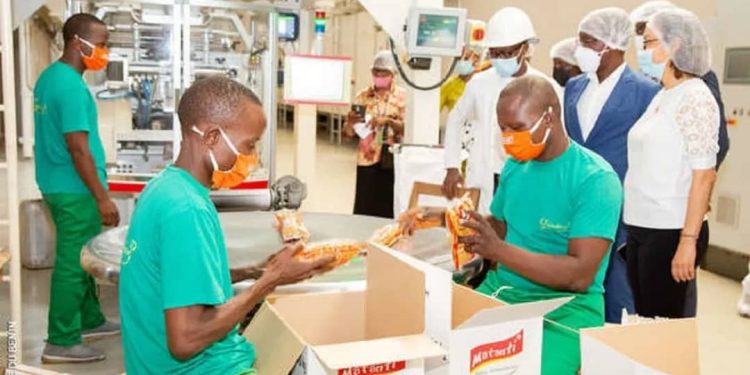 Pme au Bénin : Stimuler la compétitivité pour un développement durable