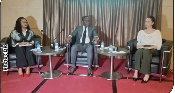 Enjeux de genre dans la fiscalité : La problématique au cœur d’un atelier à Cotonou