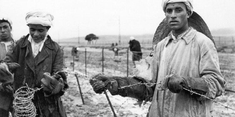 Héritage de la guerre coloniale : l’Algérie reste l’un des pays les plus minés d’Afrique