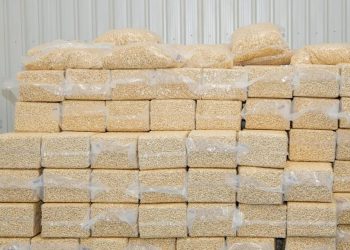 Transformation de la noix de cajou : La Bidc octroie 6,5 milliards de FCfa au Bénin