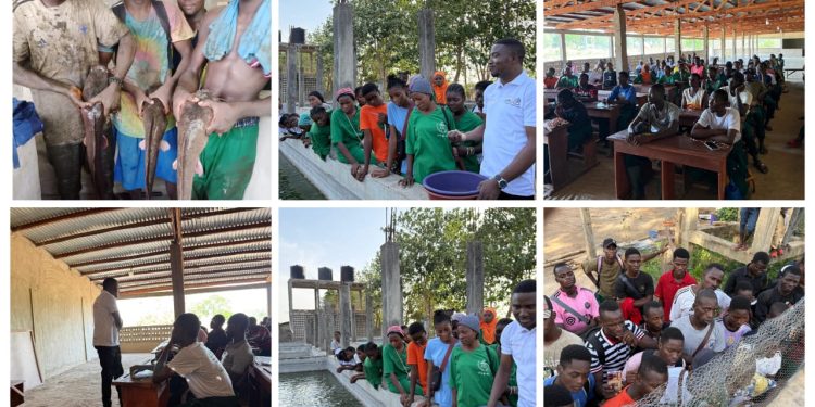 Initiation des jeunes de K-D.K à la pisciculture moderne : Une formation pratique avec Dr Abdoul-Ibrachi Gouda