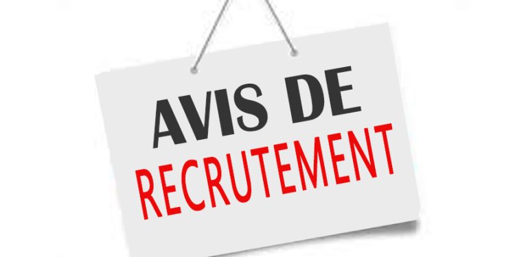 Bénin: Une société recherche un cabinet ou des personnes physiques spécialisées dans le montage des Dossiers d'appels d'offres