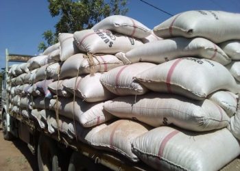 Commerce extérieur : Le Bénin a réexporté pour 84,1 milliards de FCfa en 2023