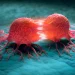 Lutte contre les cancers : Le Bénin signe une convention avec le groupe Roche