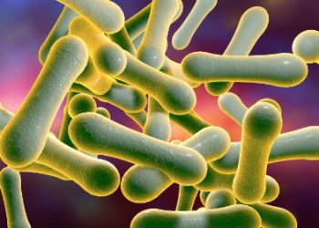 Nigeria: Une épidémie de diphtérie entraîne la mort de nombreux écoliers