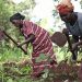 Agriculture de 2016 à 2025 : Un secteur névralgique aux lendemains certains