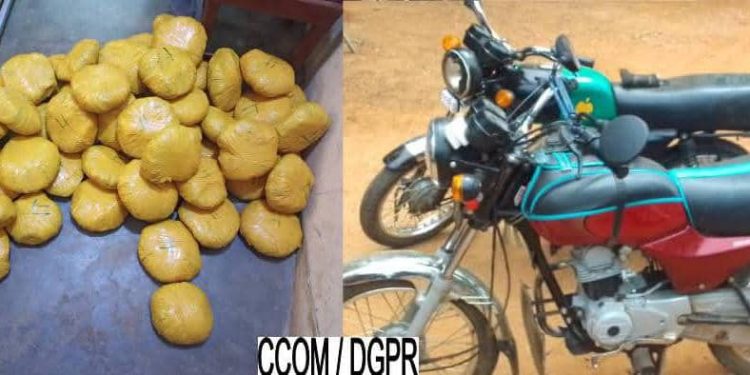 Bénin : 34 kg de chanvre indien saisis à Dassa