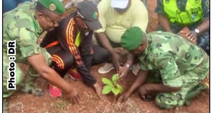 Journée nationale de l’arbre : Christophe Mégbédji célèbre la 41ème édition dans le Couffo