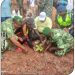 Journée nationale de l’arbre : Christophe Mégbédji célèbre la 41ème édition dans le Couffo