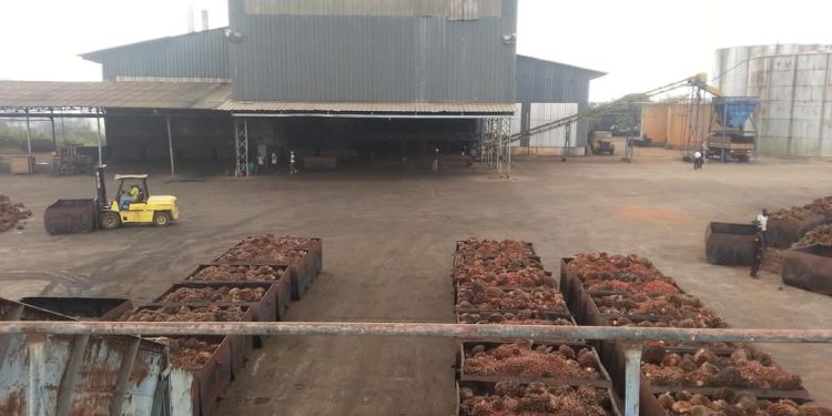 Allégations malveillantes sur ses relations avec l’Exécutif béninois : Coda Bénin dément et réaffirme son soutien au gouvernement