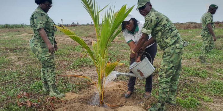 14ème édition de la Journée de reboisement inter-forces à Sèmè-Podji : 800 plants de cocotiers mis en terre par les Forces armées béninoises