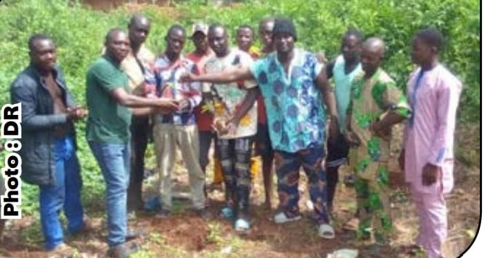 Journée nationale de l’arbre : Christophe Mégbédji célèbre la 41ème édition dans le Couffo
