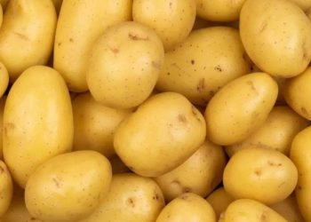 Burkina: L’importation de la pomme de terre suspendue