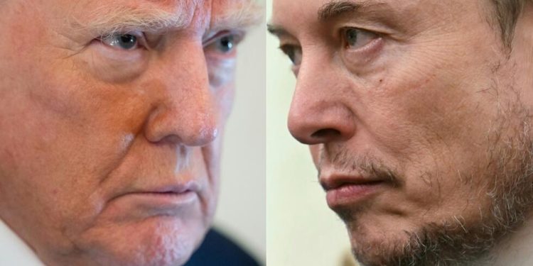 Trump-Musk : La guerre des egos repart de plus belle